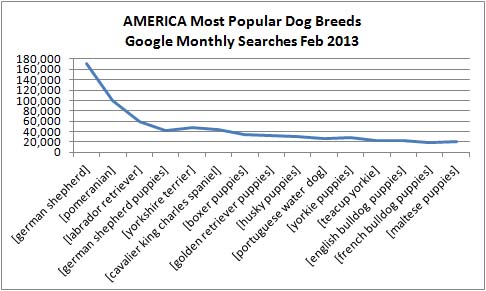 america dog breed popularity 2013